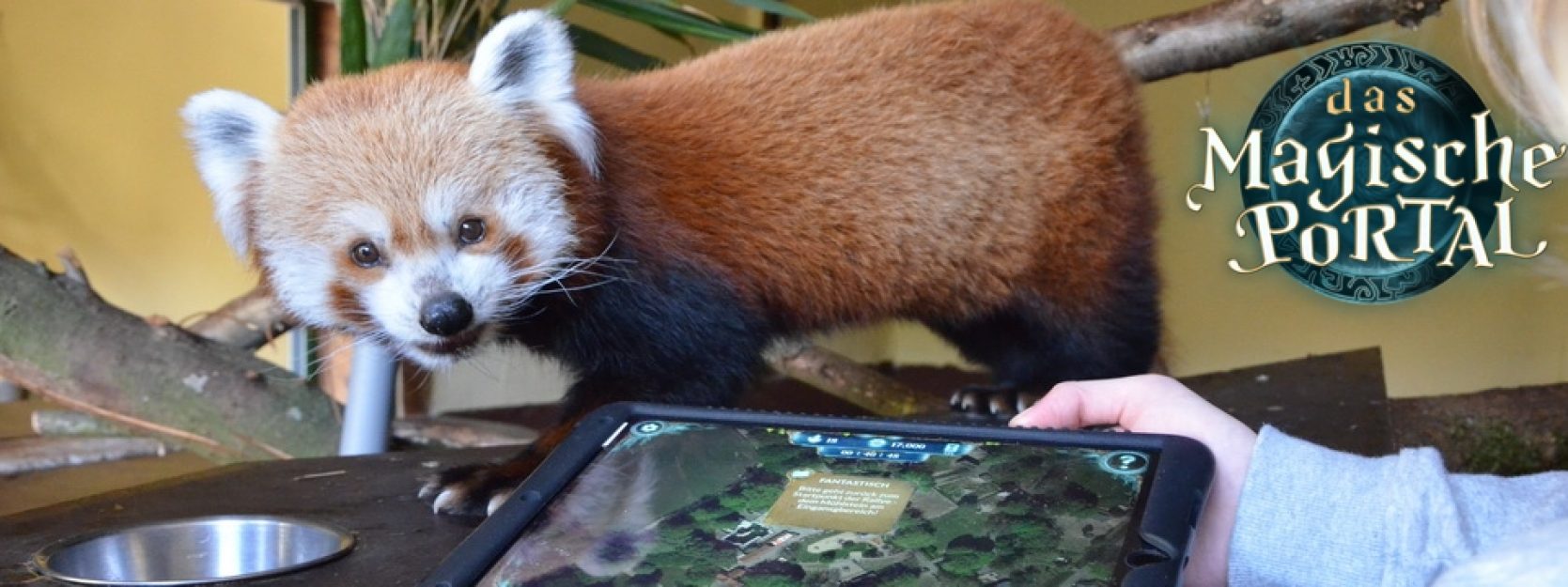 spannende iPad-Rallye bei den Tieren im Klever Tiergarten